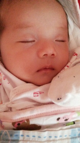 journal_insert_pic_154434148
