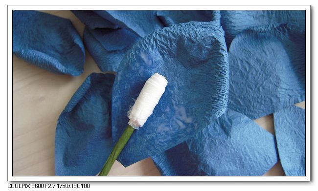journal_insert_pic_154863954