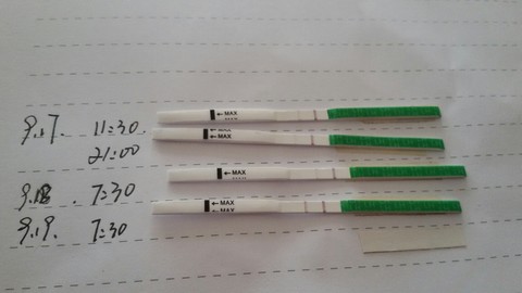 journal_insert_pic_154998057
