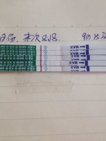 journal_insert_pic_155048267