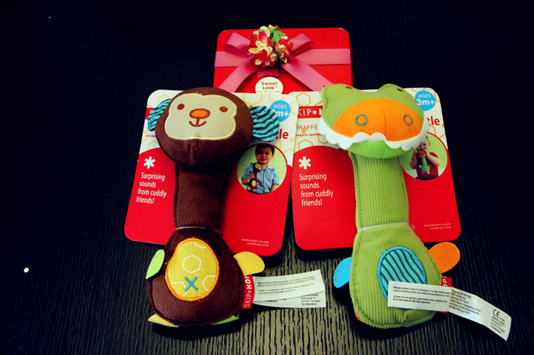 journal_insert_pic_156320255