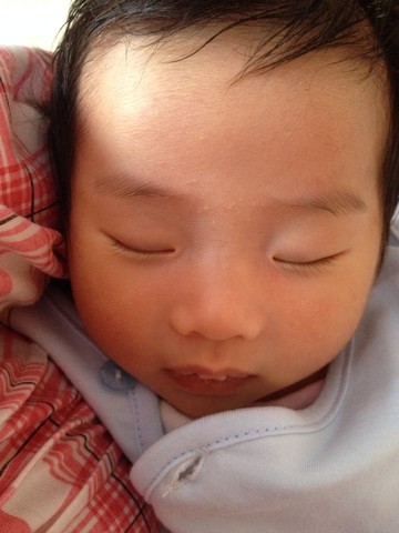 journal_insert_pic_156754003