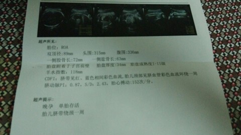 journal_insert_pic_156979972