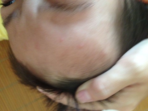 journal_insert_pic_157618880