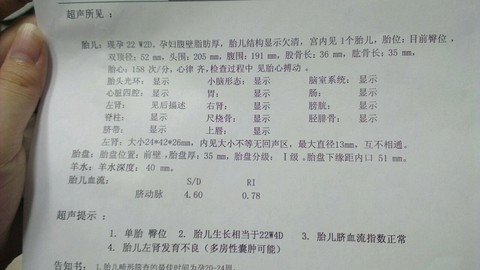 journal_insert_pic_157800671