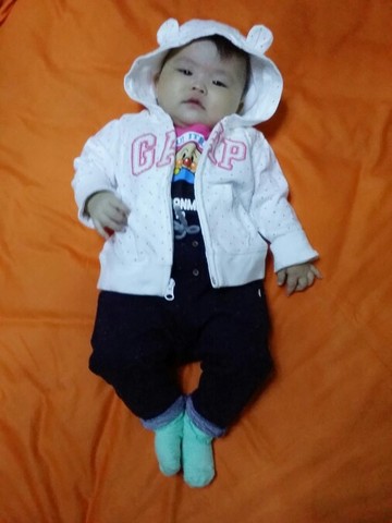 journal_insert_pic_157795245