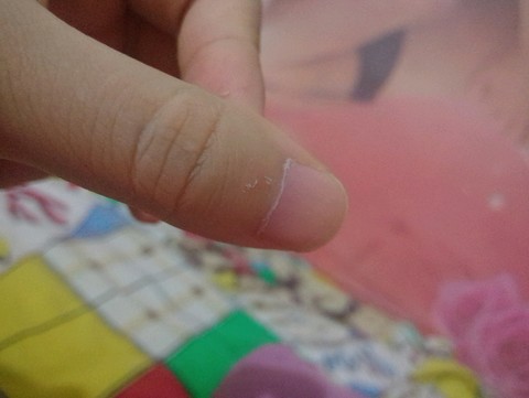 journal_insert_pic_158477993