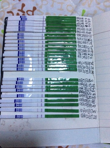 journal_insert_pic_158758111