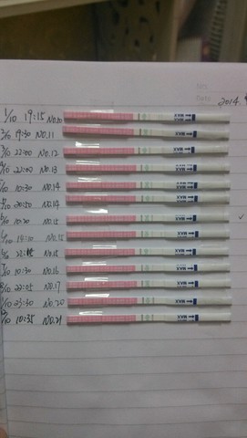 journal_insert_pic_158723317