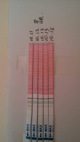 journal_insert_pic_159463724
