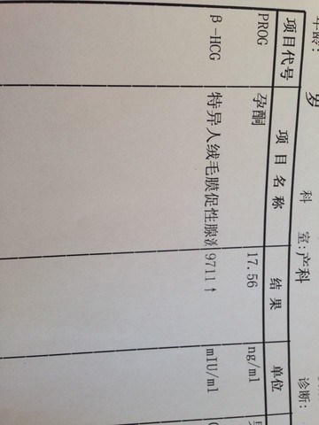 journal_insert_pic_159479810