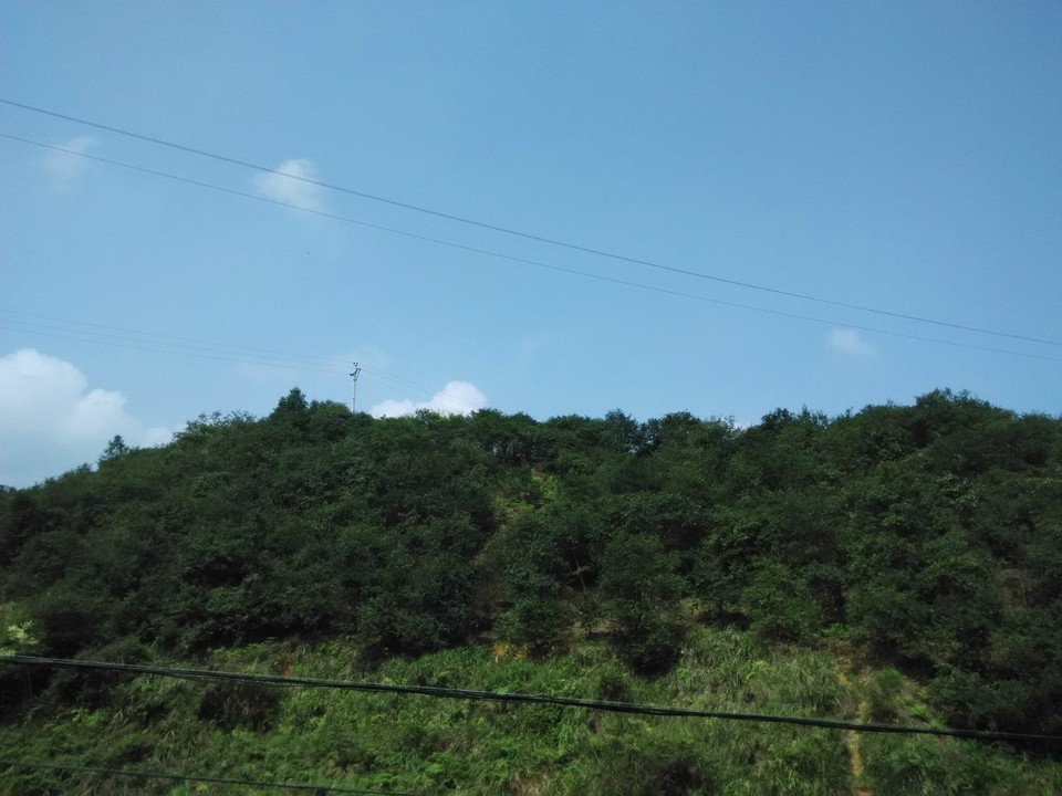 journal_insert_pic_159638717