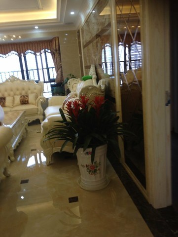 journal_insert_pic_159669451