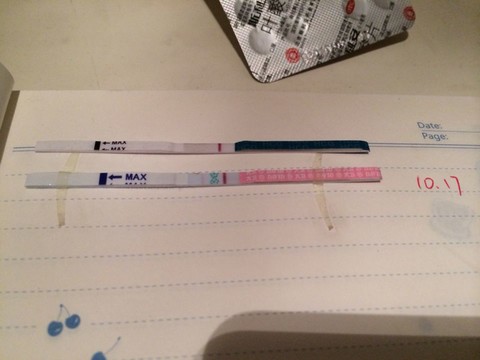 journal_insert_pic_159802723