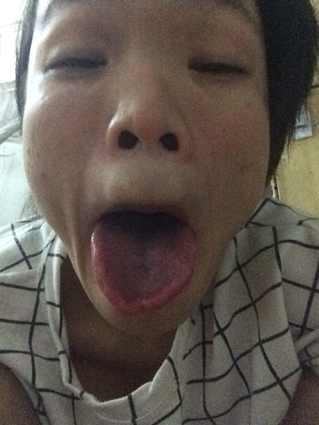 journal_insert_pic_159811667