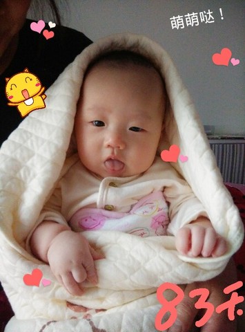 journal_insert_pic_159822479