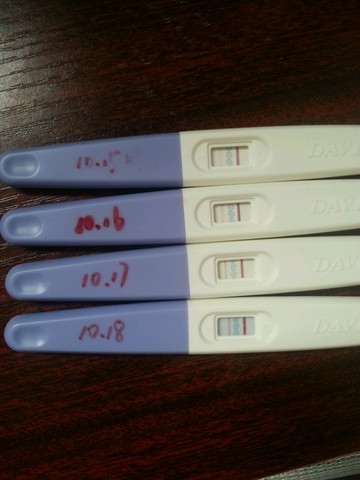 journal_insert_pic_159859839