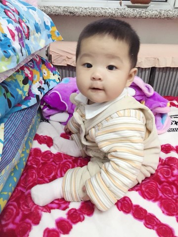 journal_insert_pic_160991367