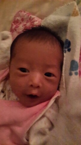 journal_insert_pic_162173641