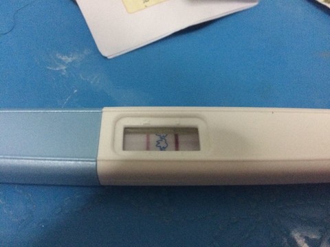 journal_insert_pic_162044913