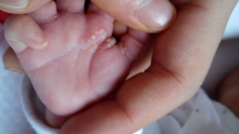 journal_insert_pic_162163107