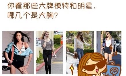 journal_insert_pic_162329528