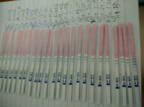 journal_insert_pic_164101656