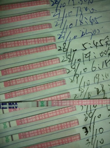 journal_insert_pic_164101646