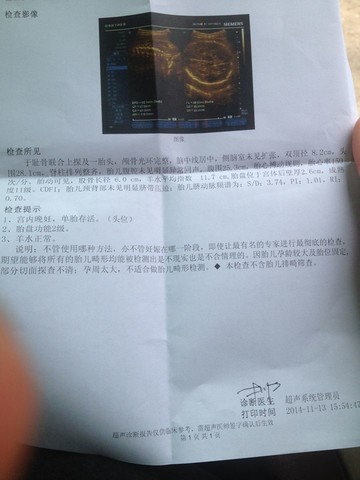 journal_insert_pic_166591341