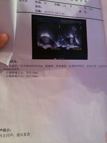 journal_insert_pic_166892072