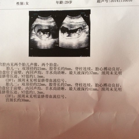 journal_insert_pic_168139495