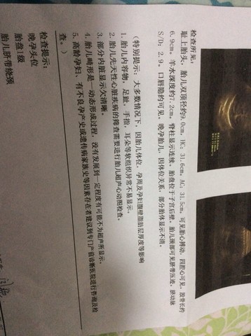 journal_insert_pic_168656038