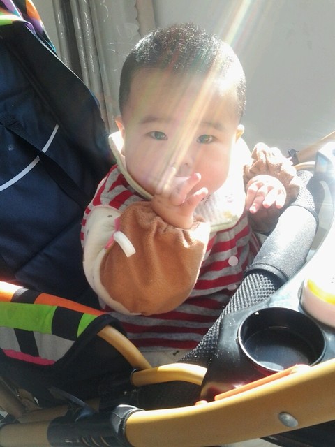 宝贝,妈妈如何才能养胖你!大家都来晒瘦宝宝!_快七个月了,十_宝宝树