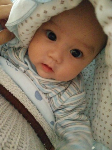journal_insert_pic_169183112