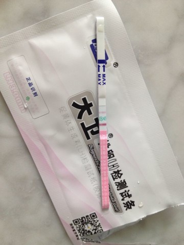 journal_insert_pic_169417607
