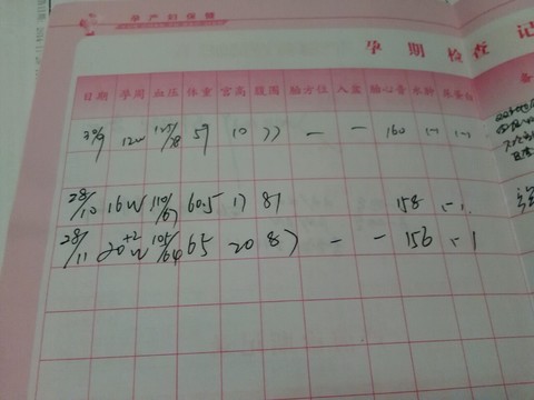journal_insert_pic_171061542
