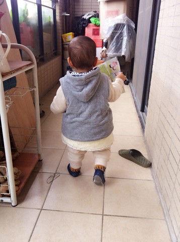 journal_insert_pic_173064975