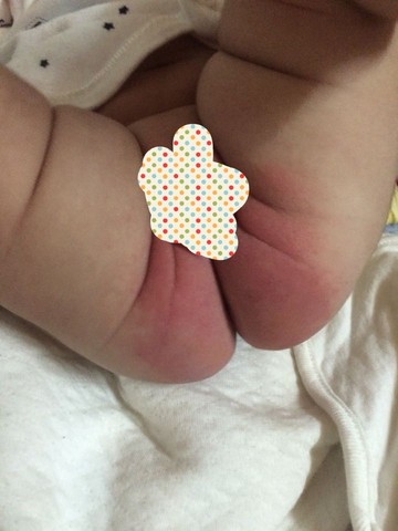 journal_insert_pic_173266986