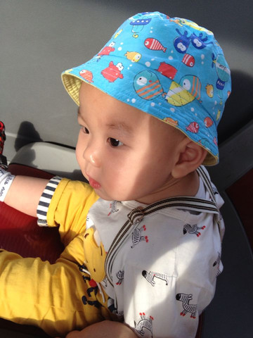 journal_insert_pic_173052503