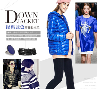 journal_insert_pic_173856653