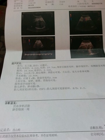 journal_insert_pic_174984429
