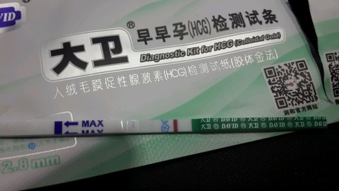 journal_insert_pic_176034842