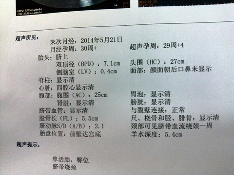 journal_insert_pic_176459293