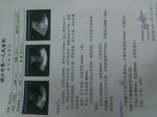 journal_insert_pic_177566866