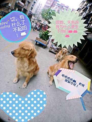 journal_insert_pic_180234629