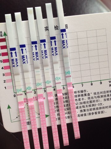 journal_insert_pic_180964926