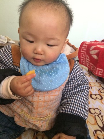 journal_insert_pic_183012582