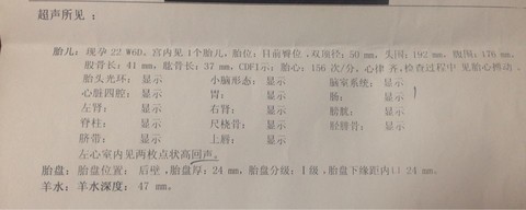 journal_insert_pic_183620693