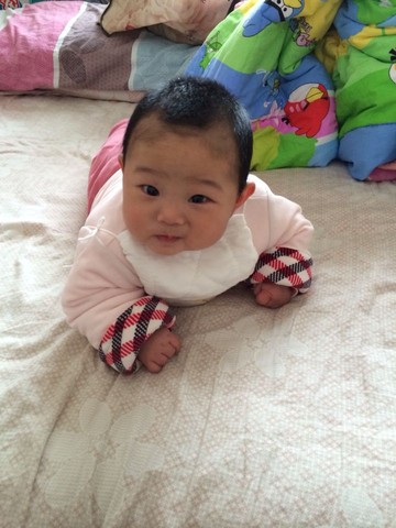 journal_insert_pic_184737966