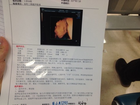 journal_insert_pic_185394711